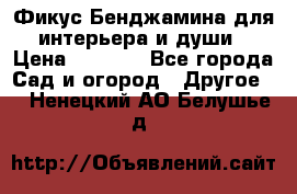 Фикус Бенджамина для интерьера и души › Цена ­ 2 900 - Все города Сад и огород » Другое   . Ненецкий АО,Белушье д.